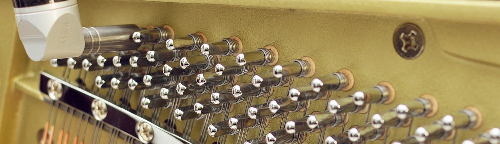 Tobias Theurer