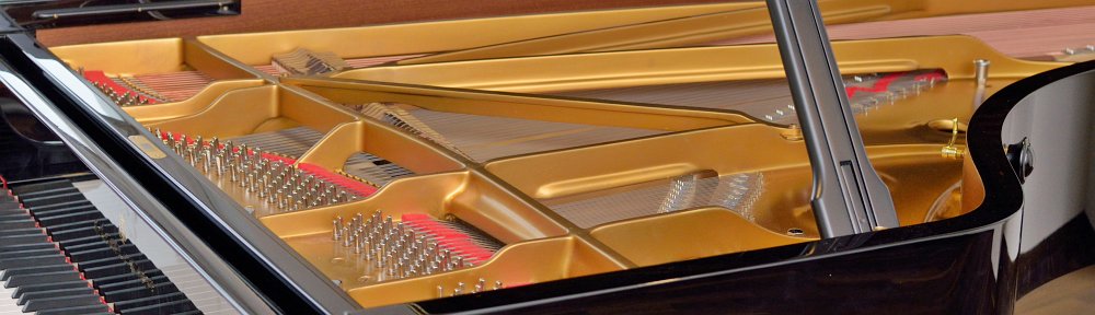 Tobias Theurer
